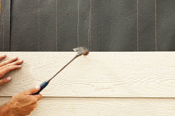 Best Custom Trim and Detailing for Siding  in Hughes Springs, TX